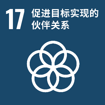 SDG17