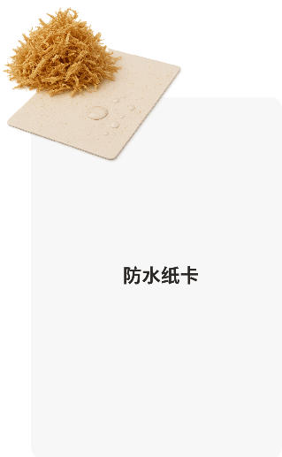 纸卡
