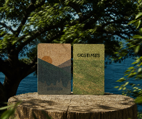 GCSTIMES